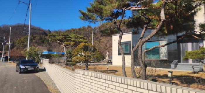 정원수