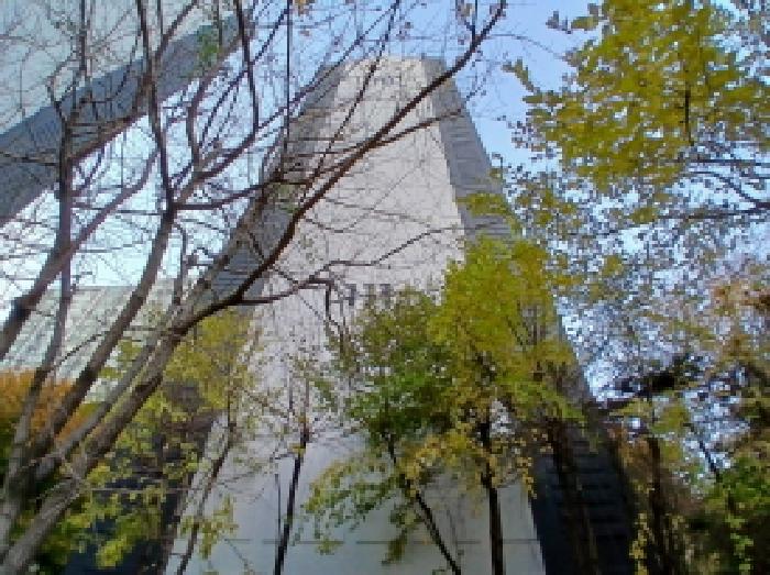 111동 외부 전경