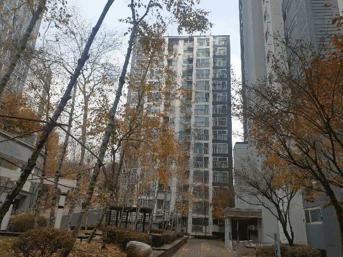 본건 소재 건물