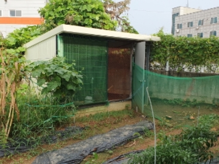 제시외 판넬조 판넬지붕 창고3