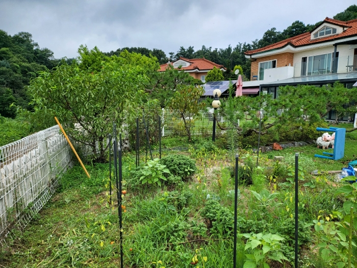 본건 기호(1) 정원 전경