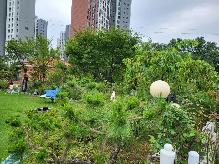 본건 기호(1) 정원 전경