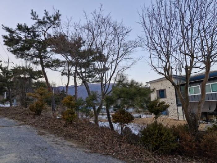 목록 2 지상의 제시외 조경수
