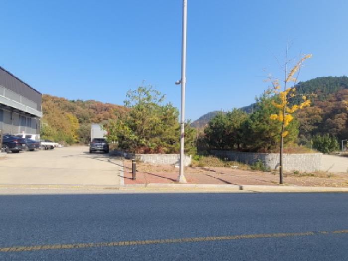 상매동 501-5 공장용지 : 다수의 제시외 조경수목이 식재되어 있음.