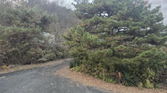 공장 진입도로의 전경