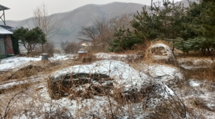 목록6  정원수 및 정원석 전경