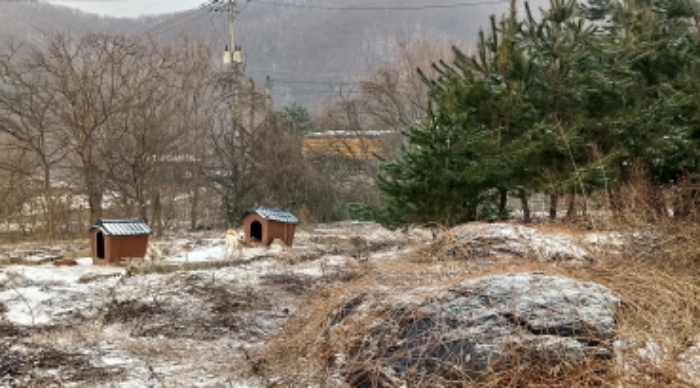 목록6. 전경