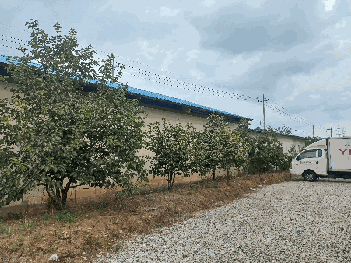 토지 일련번호1) 지상에 조경으로 식재된 수목