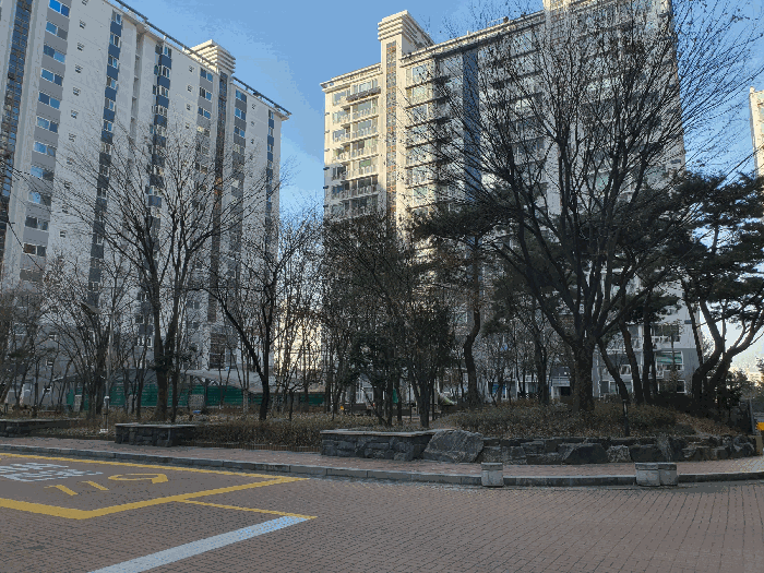 단 지 내 부
