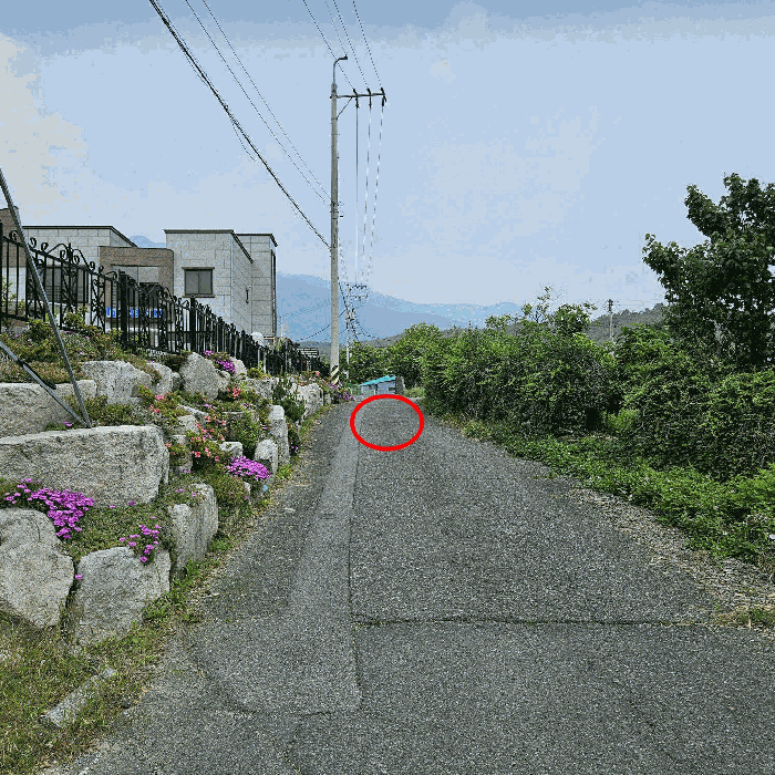 기호(4) 전경(남동측에서 촬영)