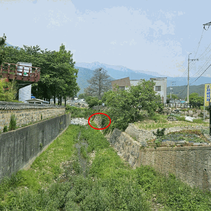 기호(3) 하천부분(남동측에서 촬영)