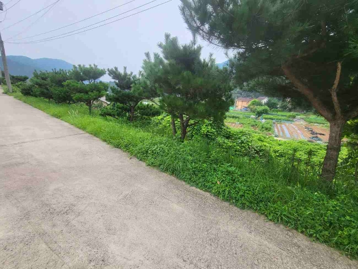 제시 목록 5