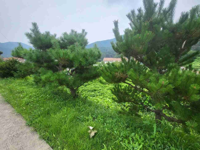 제시 목록 5