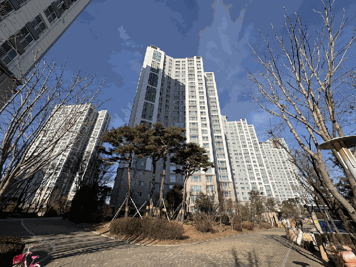 본건 전경