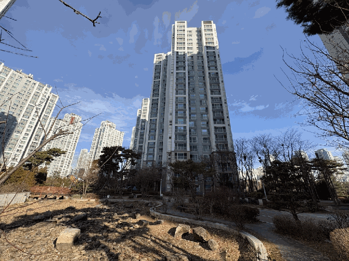 본건 전경
