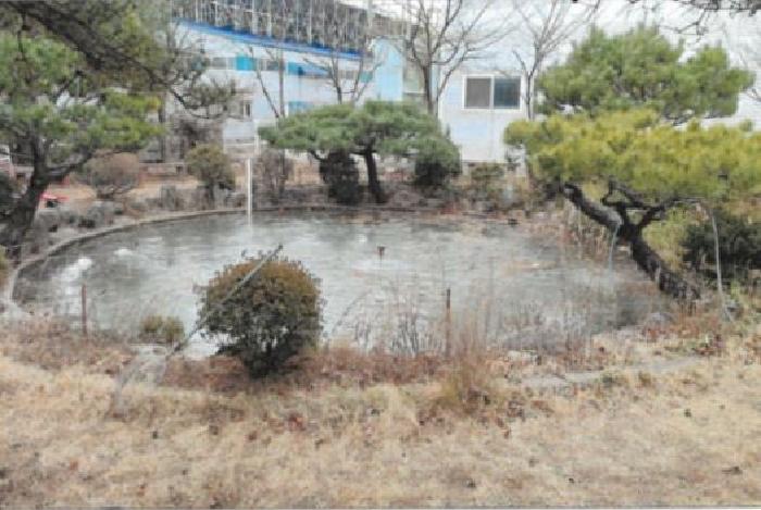 본 건(기호1번 토지 지상에 소재하는 연못)