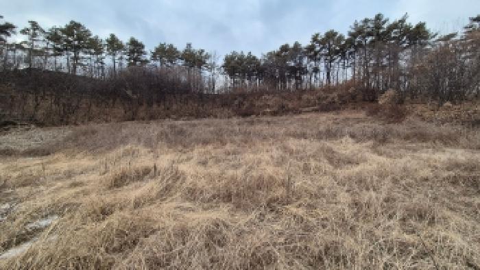 본건 부동산 전경11