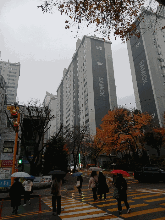 전경1