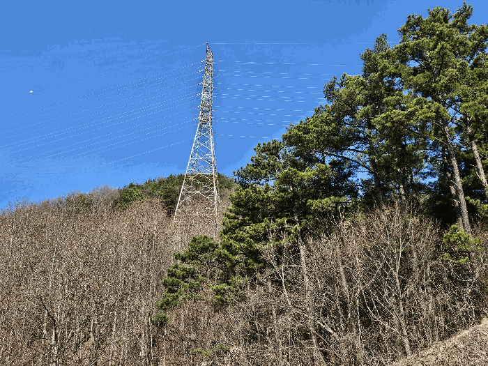 본건 인근소재 송전탑 전경