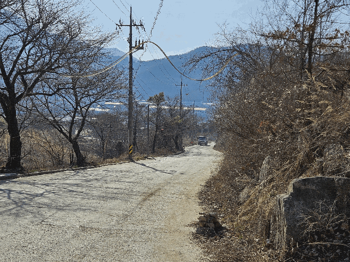 본건 주변 전경(북측 소재 도로주변)