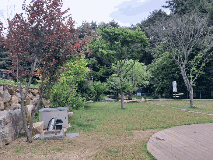 본건 기호(1) 토지상 소재 제시외수목 기호(ㄴ) 전경