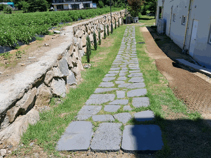 본건 기호(1) 토지상 소재 제시외수목 기호(ㄴ) 전경