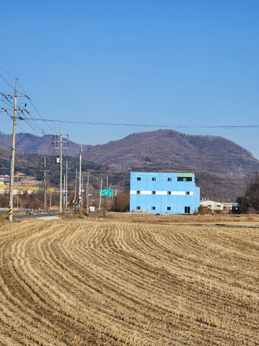본건 및 부근 전경