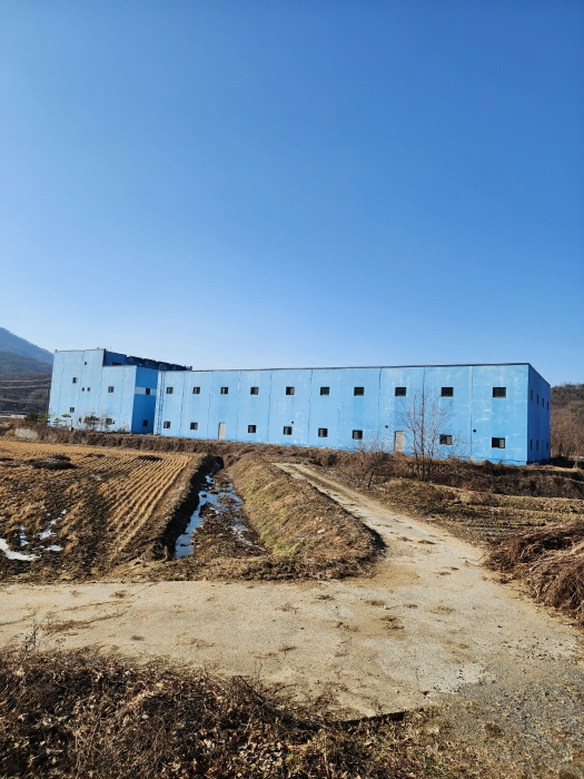 본건 및 부근 전경