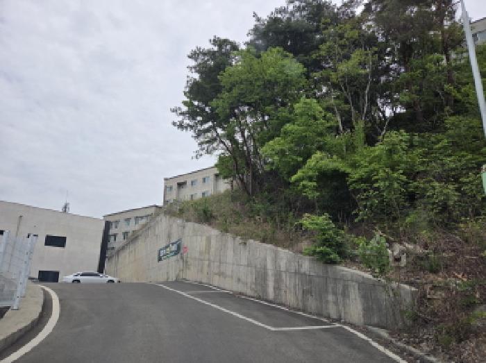 전경