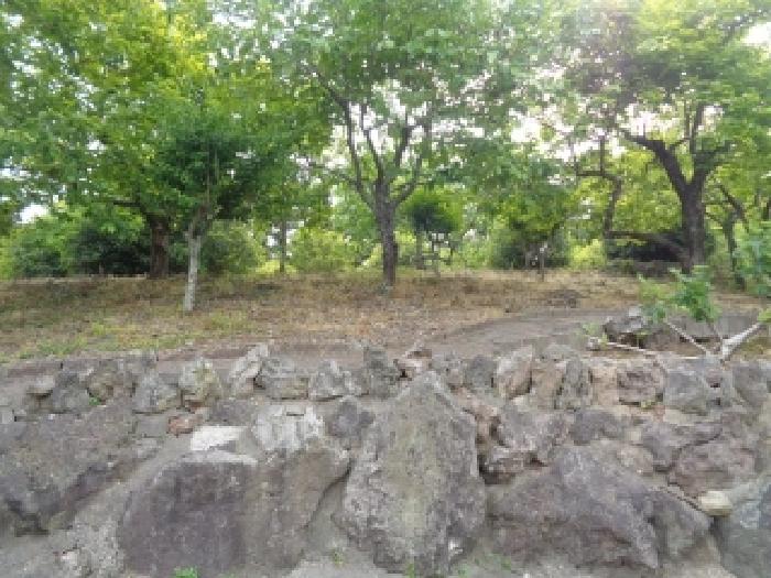 - 소재지 1(아라일동 251) 위 지상에 석재 소재