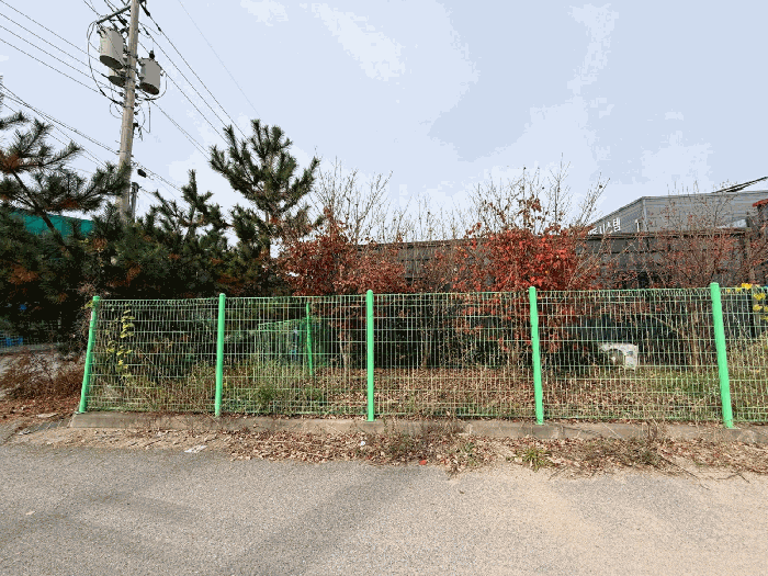 [ 지상 조경 수목 등 ]