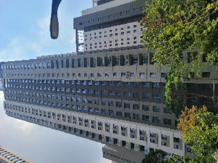 본 건 부동산 전경