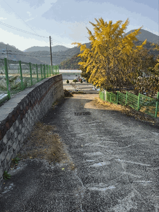 일련번호(3): 진입로