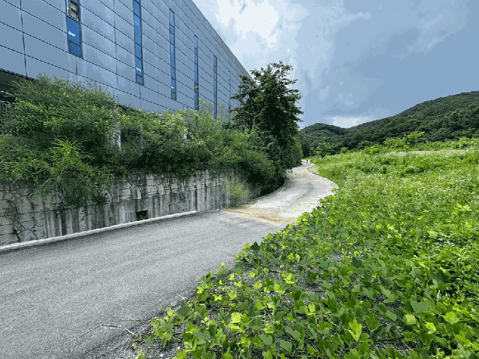 일련번호 4),5) 토지전경