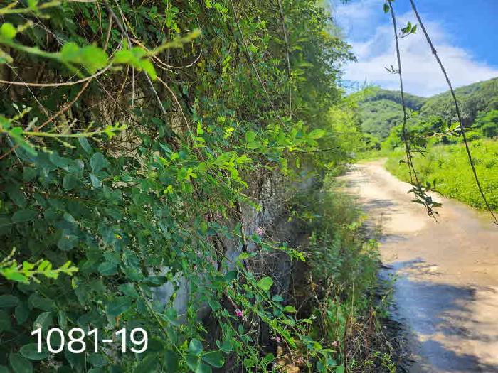 목록5. 구거 및 경계벽 부분
