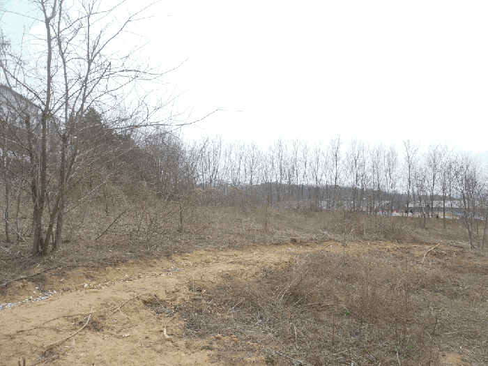 일련번호8 전경