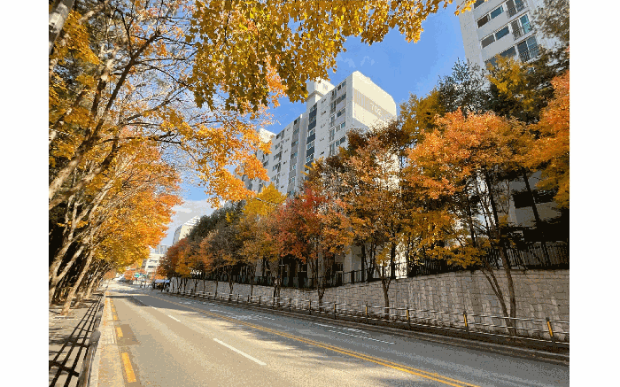 본건 소재 건물 남서측에서 촬영